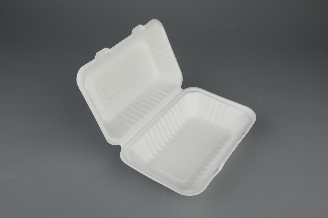 China China Wholesale Bagasse Disposable Lunch Box Supplier – 9″×6 ...